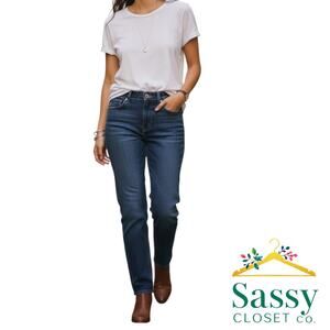 Ann Taylor LOFT Straight Leg Blue Wash Stretch Denim Jeans Size 0 EUC